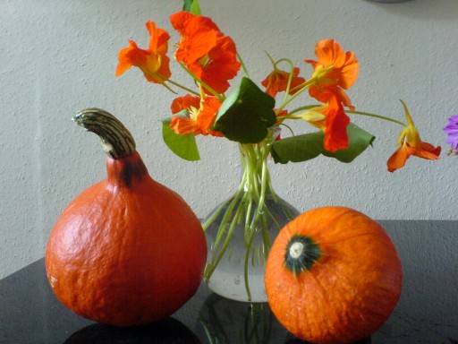 pumpkin and flowers