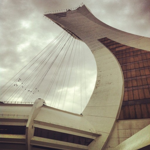 Olympic Stadium Montreal birds instagram