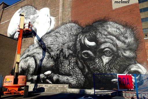 roa mural montreal