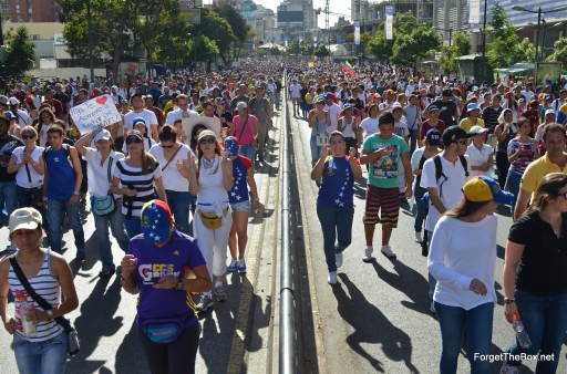 Venezuela Protests 2014 (11)