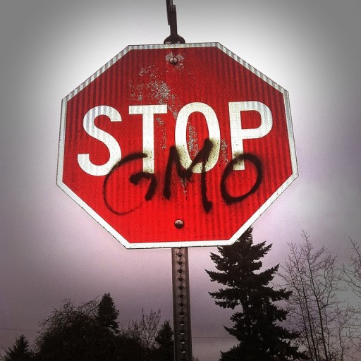 3-gmo