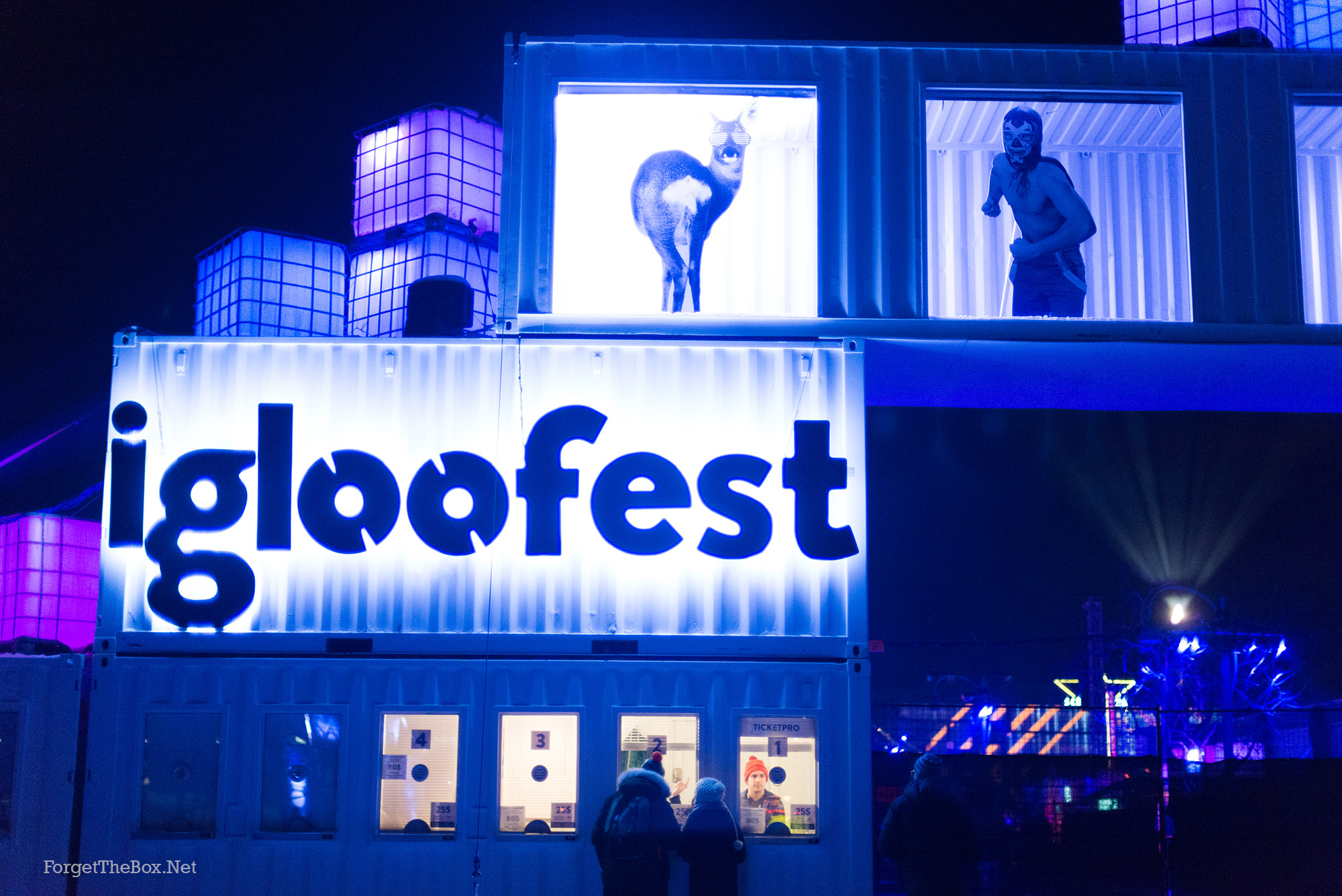 Igloofest TIGA