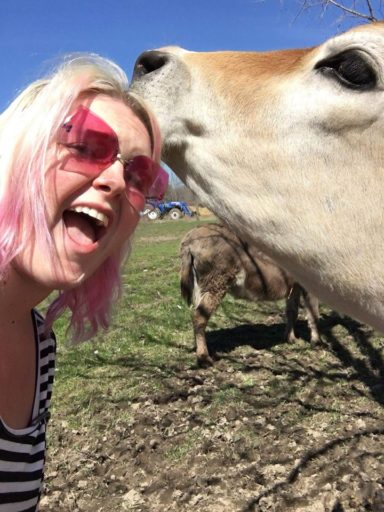 cat and cow love