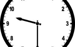 FTB Fridays 05/28/2021: News Roundup – No More Curfew, Montreal Election, Festivals & More